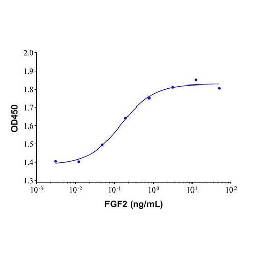 recombinant human fgf basic/fgf2/bfgf protein (c09-1096-027)