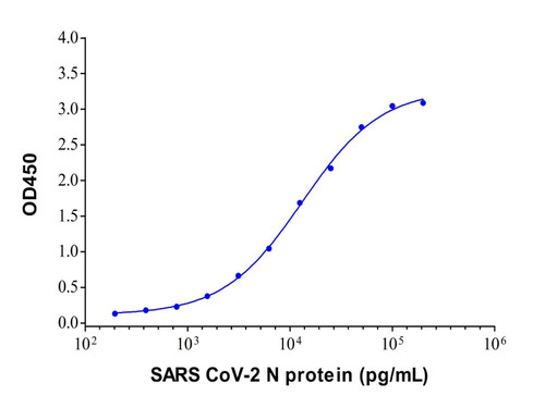 sars cov-2 n protein mouse mab (c09-1103-965)