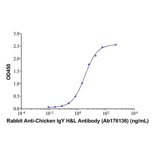 rabbit anti-chicken igy h&l antibody