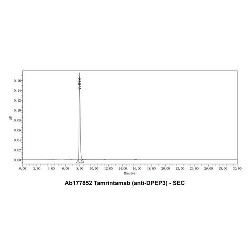 tamrintamab (anti-dpep3) (c09-1105-667)