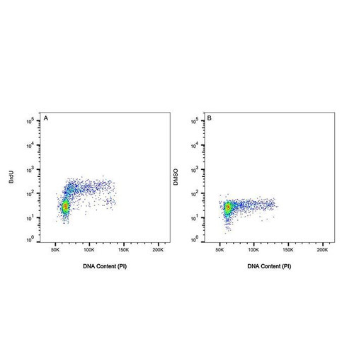 brdu mouse mab (c09-1106-022)