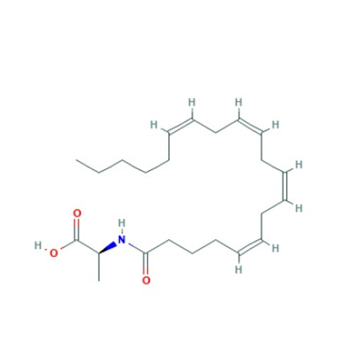 n-arachidonoyl-(l)-alanine (na-ala) (c09-0986-494)