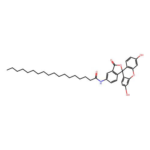 5-(octadecanoylamino)fluorescein