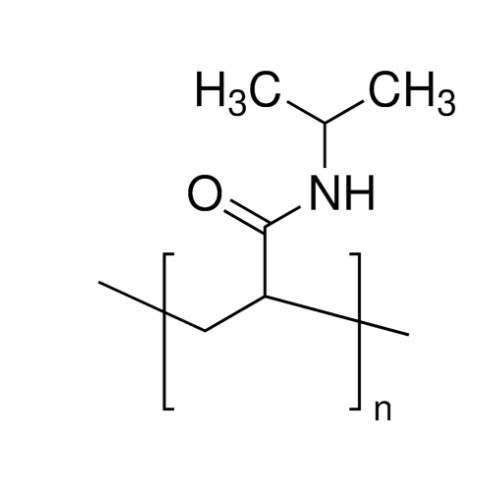 poly(n-isopropylacrylamide) (c09-1011-713)