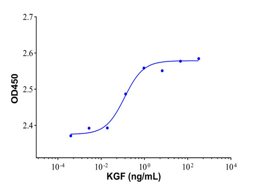 recombinant human kgf/fgf-7 protein (c09-1186-101)