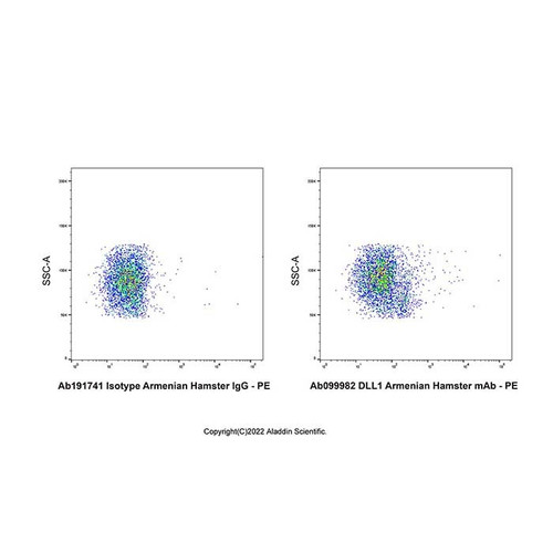 dll1 armenian hamster mab (c09-1610-638)