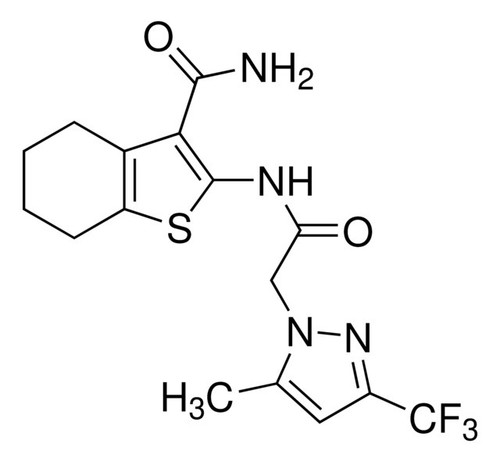 HBT1 molecule targeting AMPA receptors with BDNF-inducing properties