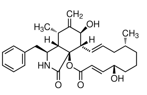 cytochalasin b