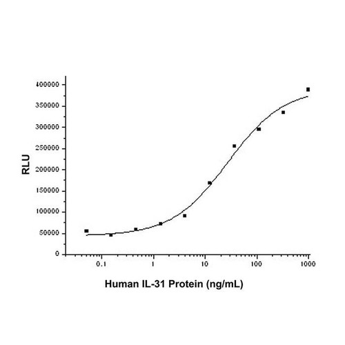 recombinant human il-31 protein (c09-1943-053)
