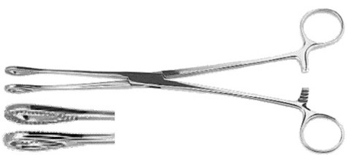 Foerster Sponge Forceps, Straight, Serrated Jaws, Length: 9.5