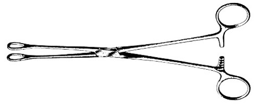 Foerster Sponge Forceps, Straight, Smooth Jaws, Length: 7