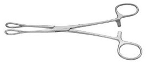 Foerster Sponge Forceps, Straight, Smooth Jaws, Length: 9.5