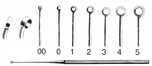 Buck Ear Curette, Sharp, Angled, Size 1, Length: 6.5" S1629-1211