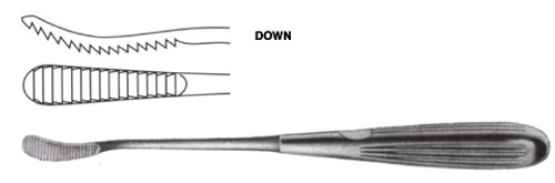 Aufricht Rasp, Curved, Down Cutting, Length: 8.25 S1679-5941