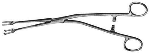 Millin Suture Carry Forceps 9 1/4" S1519-9703