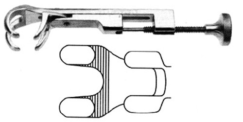 Lambert Lowman Bone Holding 2X2 71/4" S1359-8118