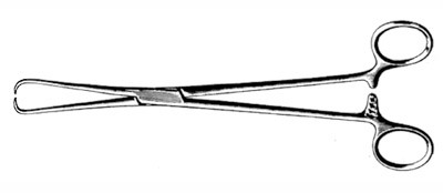 Schroeder Grasping Forceps 15Cm/6In S1529-4415