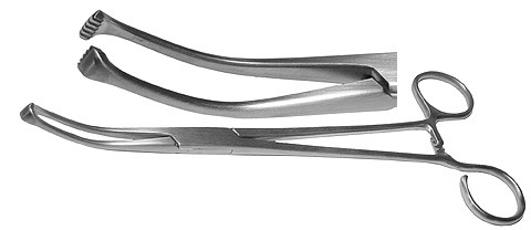 Allis Coakley Tonsil Forceps Open Ring Handle Strong Curved 7 3/4