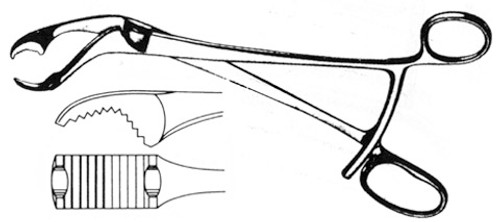 Verbrugge Bone Holding Forceps, With Short Ratchet, Length: 7 S1359-7517