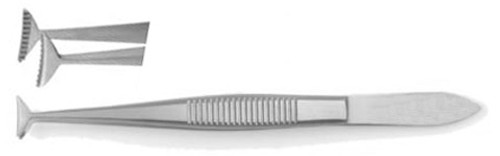 Converse (Green) Eye Fixation Forceps, Jaws With Fine Teeth, Standard Pattern, Width: 10, Length: 4 S1609-1533