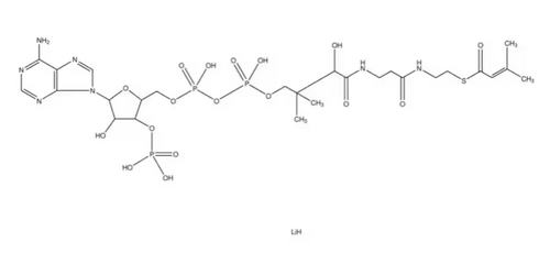 β-methylcrotonyl coenzyme a lithium salt