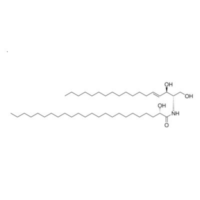 c24 (2'(s)-hydroxy) ceramide (d18:1/24:0)