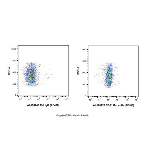 cd31 rat mab (af488) (c007b-574952)