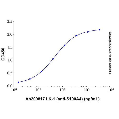 lk-1 (anti-s100a4) (c007b-575216)