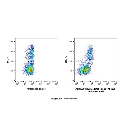 human igg1-kappa (af488), anti-spike rbd (c007b-575695)