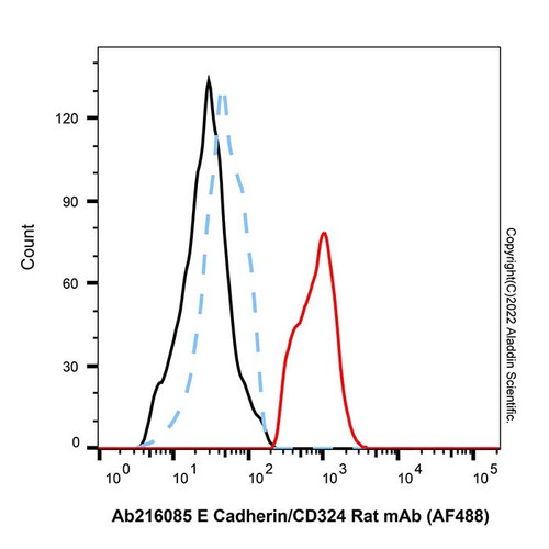 e cadherin/cd324 rat mab (af488) (c007b-576430)
