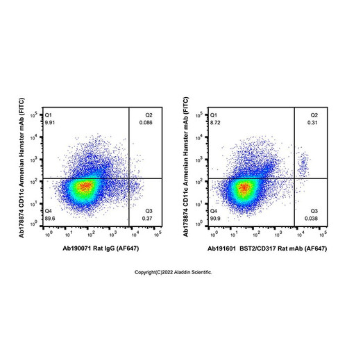 bst2/cd317 rat mab (af647) (c007b-591132)