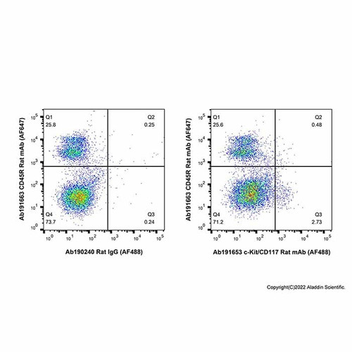 c-kit/cd117 rat mab (af488) (c007b-591148)