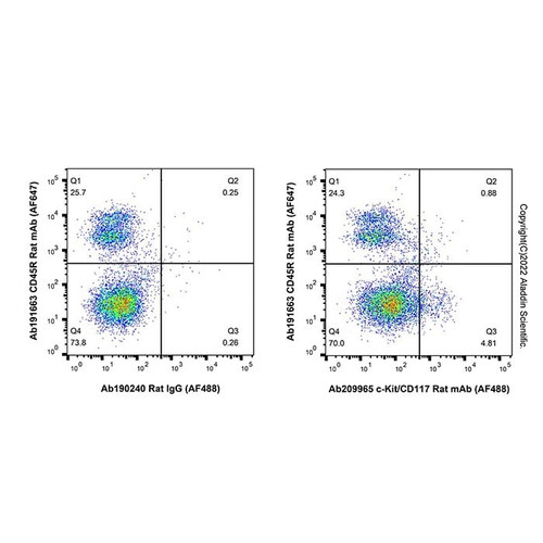 c-kit/cd117 rat mab (af488) (c007b-591225)