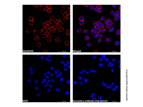 goat anti-human igg (lumidye™ red 670) (c007b-591713)