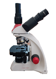 velab labo100t biological achromatic trinocular microscope