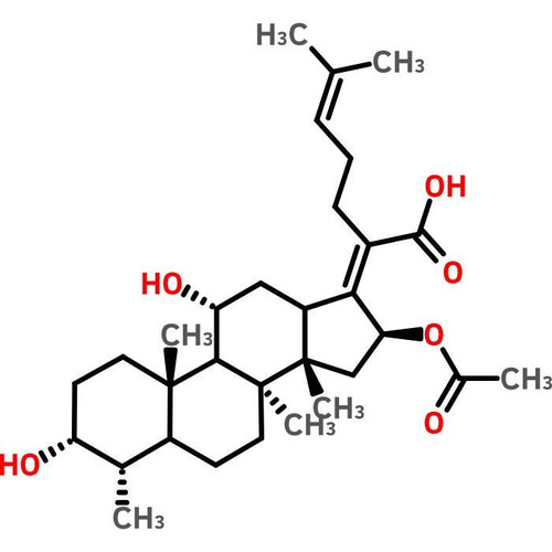 fusidic acid (c062b-070021)