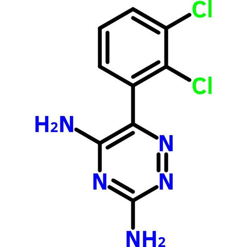 lamotrigine (c062b-071004)