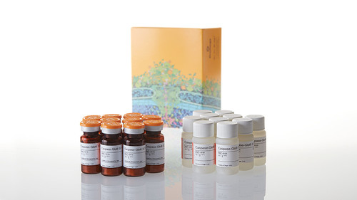 caspase-gloÂ® 3/7 assay system (c001w-000956)