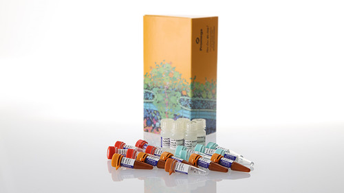 lumitÂ® ifn-Î³ (human) immunoassay
