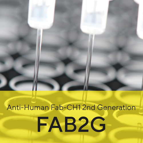 octetÂ® anti-human fab-ch1 2nd generation (fab2g) biosensors