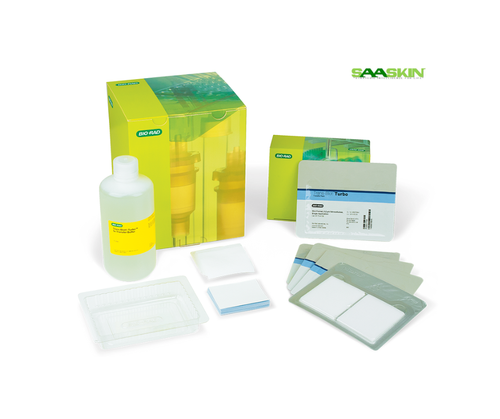 rapid blotting and v3 western workflow starter kit (c001w-001141)