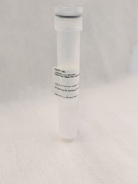 extract-n-amp™ cellular rna lysis buffer