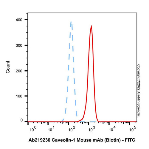 caveolin-1 mouse mab (biotin) (c007b-601600)