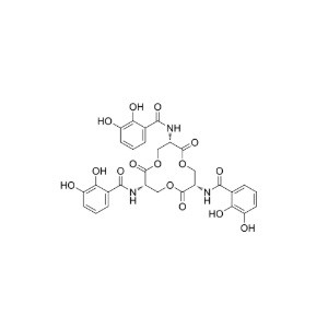 enterobactin