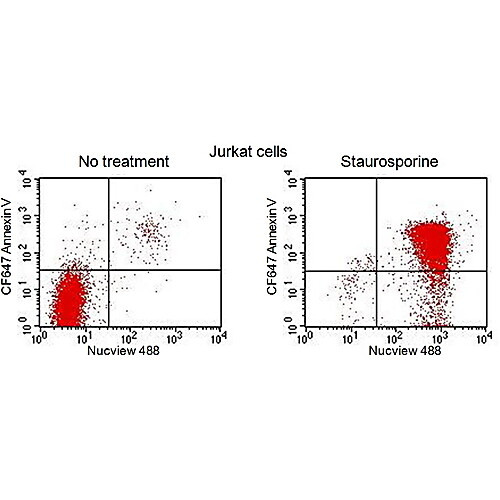 nucview 405 caspase-3 substrate, 1 mm in 1x pbs 100ul