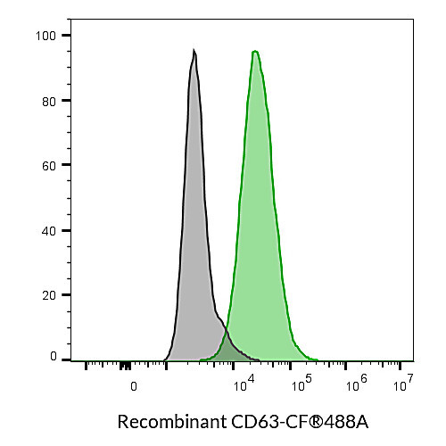 cd63 recombinant monoclonal mouse antibody (2304.63), cf583r conjugate - biotium choice 125ul