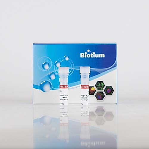 exobrite„¢ 680/700 cd81 western antibody (25 tests) 250ul