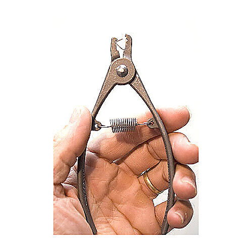 mouse ear tag applicator