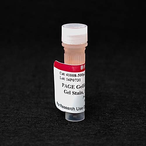 page gelred nucleic acid gel stain, 10,000x in water 500ul