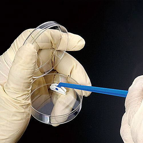biox disposable polyethylene sterile cell scraper (handle length: 180mm, blade length: 18mm). scrapers come individually wrapped. 100/case, price/case